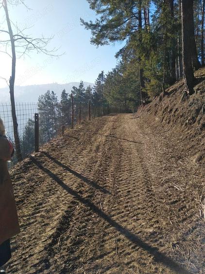 Teren de 765 mp, în Pârâul Pântei