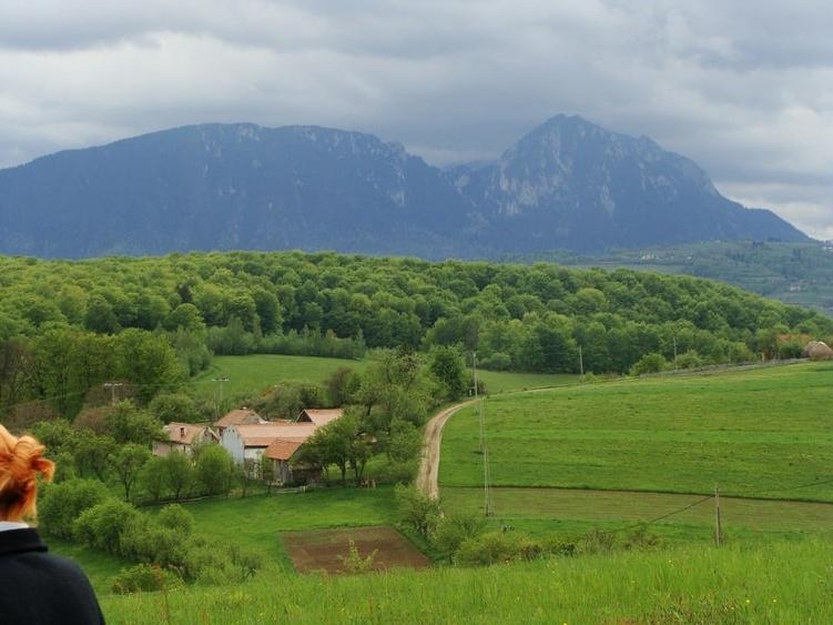 Teren Construcții intravilan de 11600 mp, în Poiana Mărului