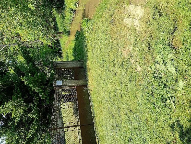 Casă cu 3 camere cu Teren 3600 Mp în Geoagiu-Băi