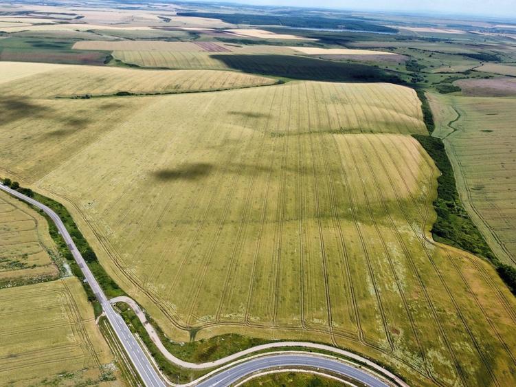 Teren Construcții extravilan de 30588 mp, în Orțișoara