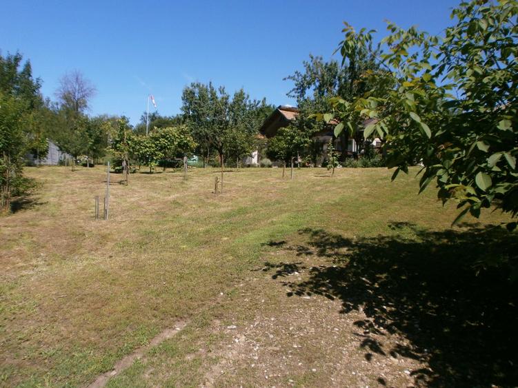 Teren de 120 mp, în Bâscenii de Sus