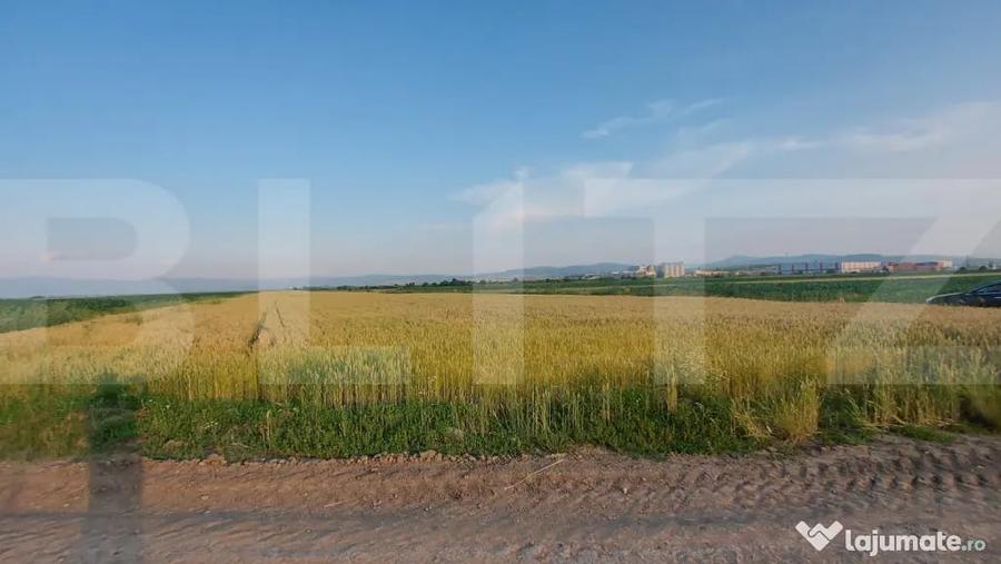 Teren arabil 9.000 mp in Moac?a investi?ie intr-o zo - 2