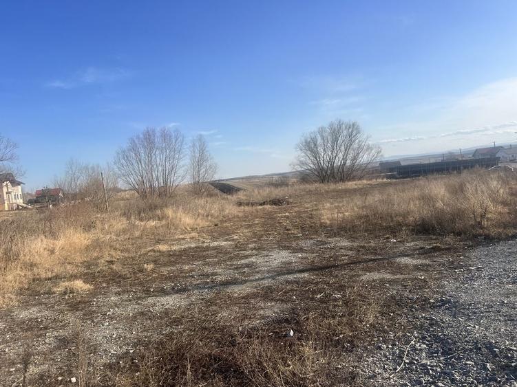 Teren de 3800 mp, în Moara