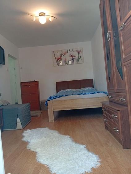 Inchiriere apartament cu o camera zona Dacia Timisoara - 9