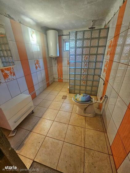 Mirva Imobiliare Exclusivitate | Casa cu teren generos in Olteni - 11