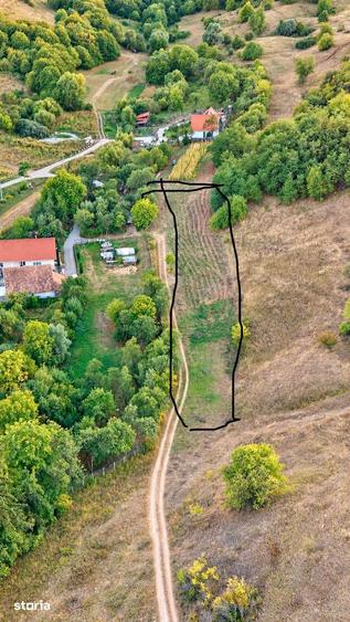 Teren de 3200 mp, în Aghireșu