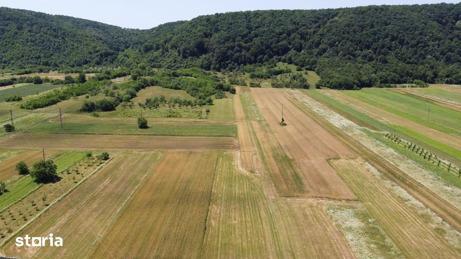 Teren de 5000 mp, în Măgureni