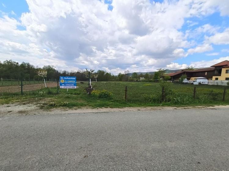Teren Construcții intravilan de 19209 mp, în Crasna