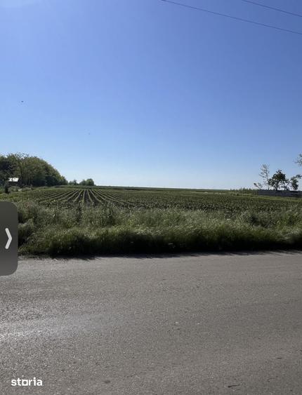 Teren intravilan 1000 mp + 2 terenuri extravilane Langa Autostrada A2 - 6