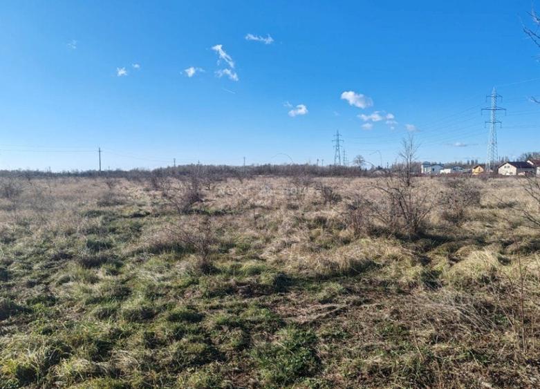Teren Construcții intravilan de 6740 mp, în Dragomirești-Deal