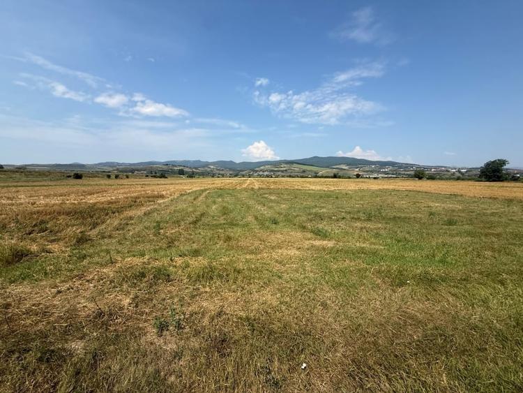 Teren Construcții intravilan de 780 mp, în Partoș