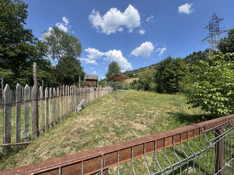 Teren Construcții intravilan de 2860 mp, în Borca