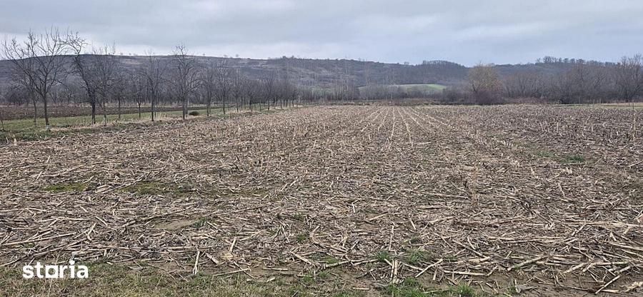 Casă cu 2 camere cu Teren 4000 Mp în Tăut