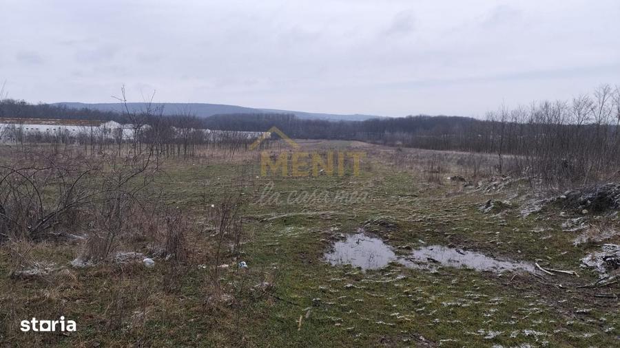 Spațiu comercial, în Scorțeni