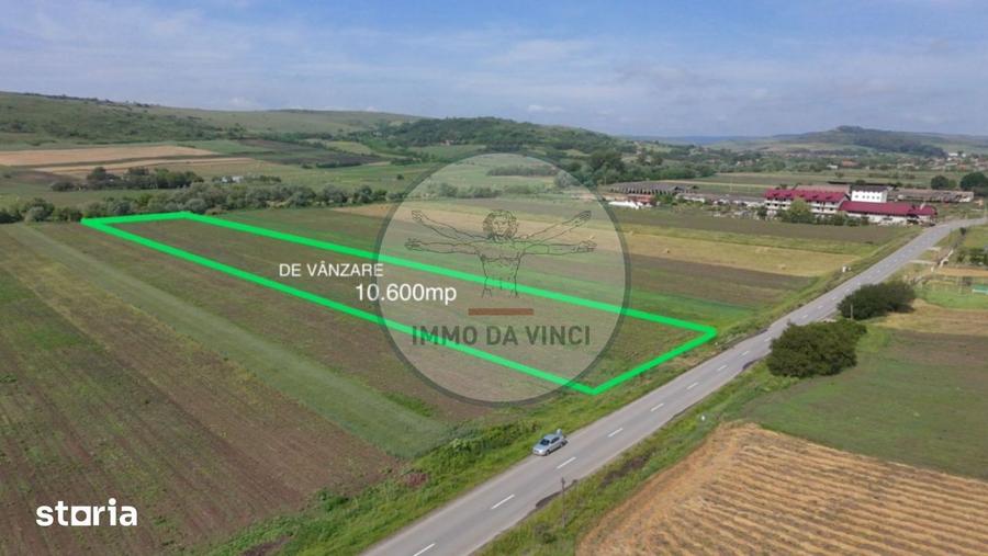 Teren de 10670 mp, în Borșa