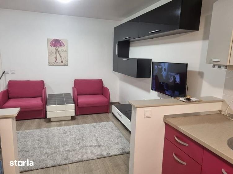 Apartament 1 camera Pacurari 350E - 7