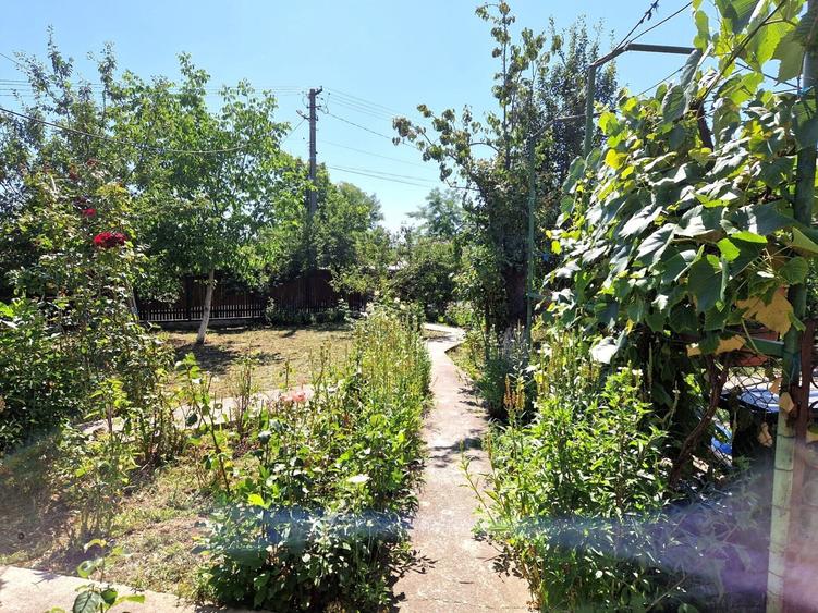 Casă individuală cu 5 camere cu Canalizare în Mătăsaru