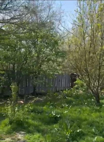 Casă individuală cu 4 camere cu Teren 965 Mp în Frumușani