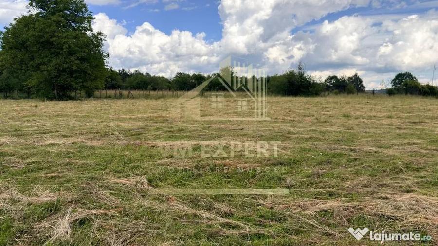 Casă cu 3 camere cu Teren 6997 Mp în Bughea de Sus