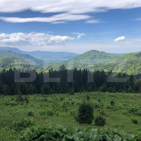 Teren Construcții intravilan de 10000 mp, în Exterior Est