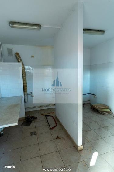 Casă cu 4 camere cu Teren 3150 Mp în Bâldana