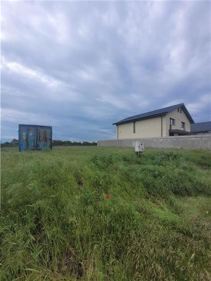 Teren Intravilan, Construibil, Ovidiu, Spre Poiana, lot de 302 mp - 5