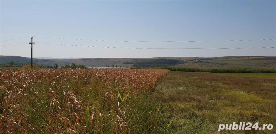 Teren de 5500 mp, în Central