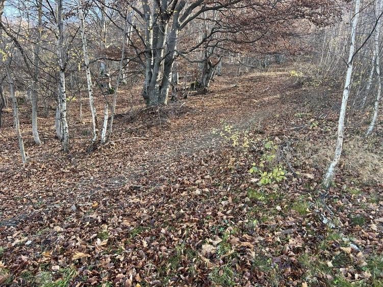 Teren de 5500 mp, în Muntele Rece