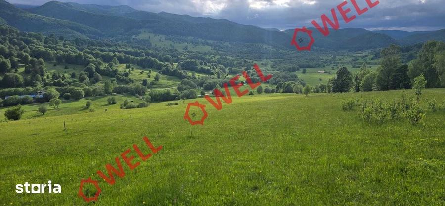 Teren de 7940 mp, în Vama Buzăului