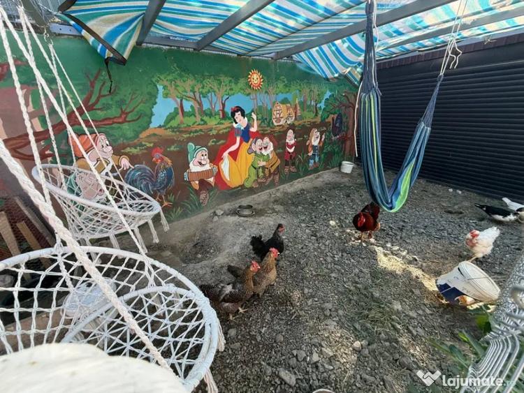 Casă cu 2 camere cu Teren 160 Mp în Păcii