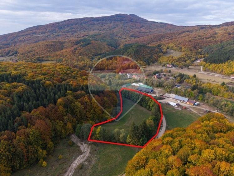 Teren agricol extravilan de 9540 mp, în Teliu