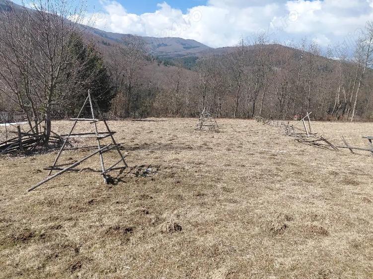 Teren de 1300 mp, în Valea Doftanei