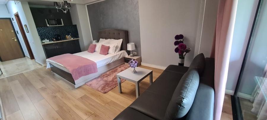 Apartament cu 2 camere decomandat, mobilat în Central