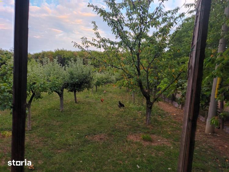 Casă cu 5 camere cu Teren 10000 Mp în Mihai Eminescu