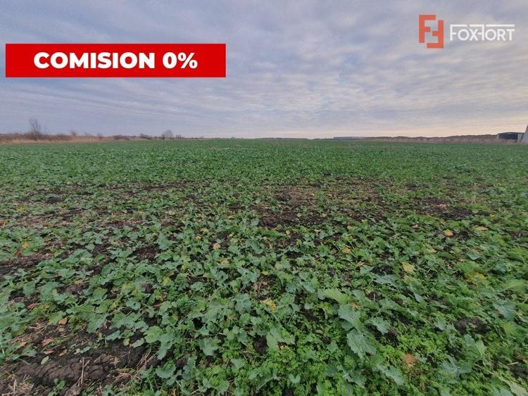 Teren agricol extravilan de 213257 mp, în Sud