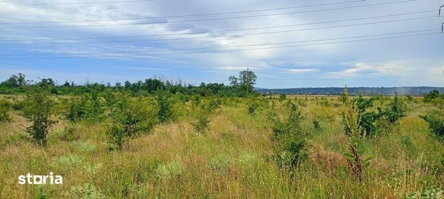 Teren de 2240 mp, în Central