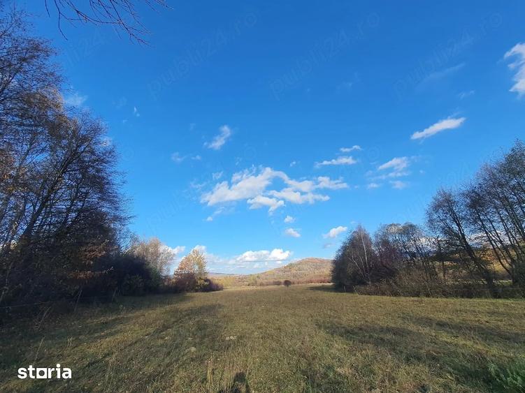 Teren 9.000 mp Bran Tohani?a | Intravilan | Deschidere 60 m Vedere Panoramica - 3