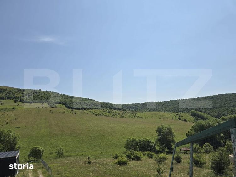 Teren de 1200 mp, în Ciurila