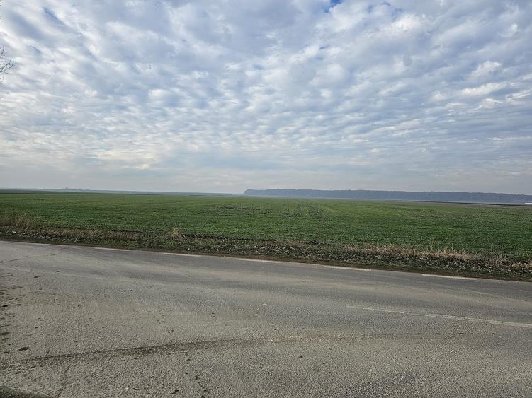 Teren Construcții de 16000 mp, în Afumați