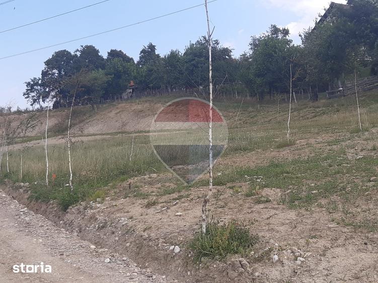Teren de 1000 mp, în Central