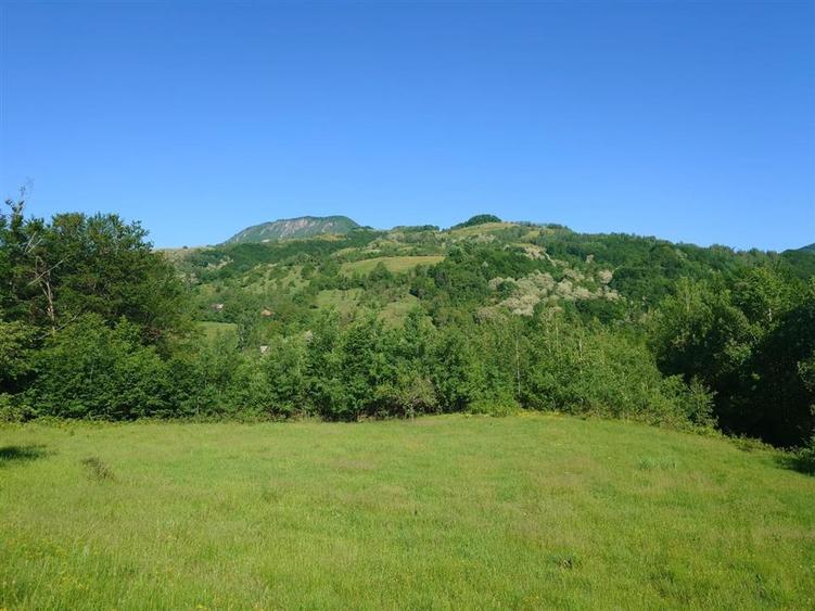 Casă individuală cu 3 camere cu Teren 34965 Mp în Blăjeni