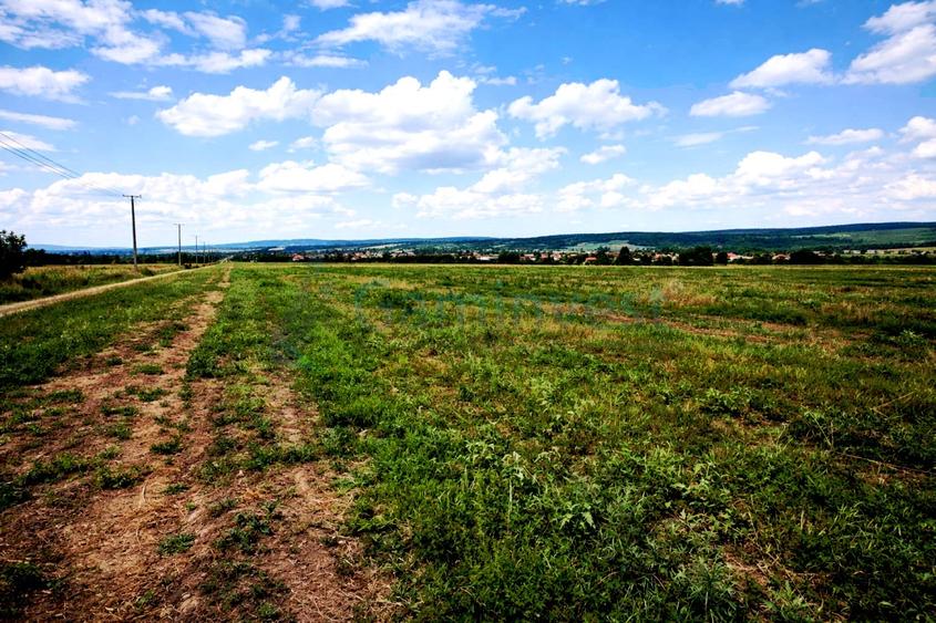 Teren agricol extravilan de 17265 mp, în Leș