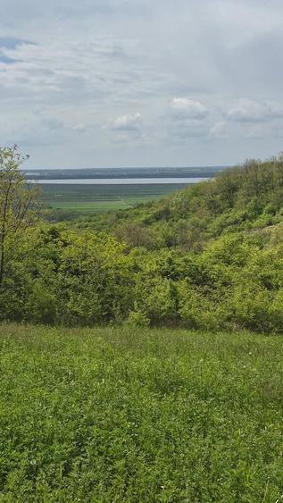 Teren de 5000 mp, în Vrănești