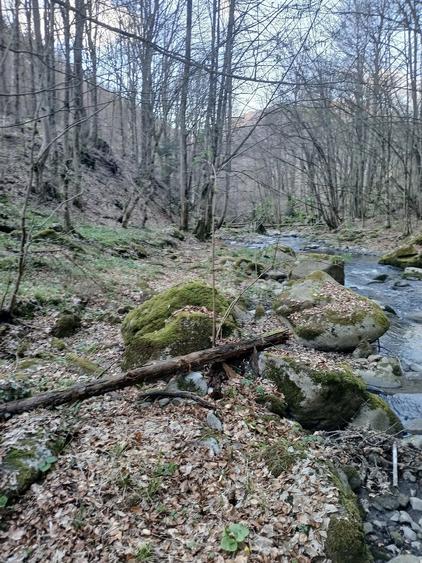 Teren de 1650 mp, în Central