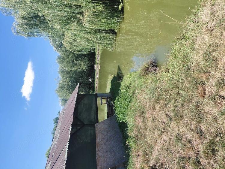 Teren de 3600 mp, în Vultureni