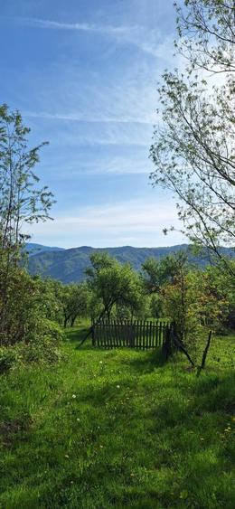 Teren agricol extravilan de 4445 mp, în Nucșoara