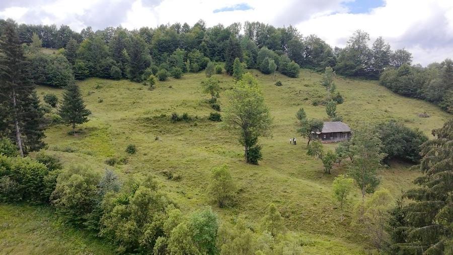 Teren de 30000 mp, în Șanț