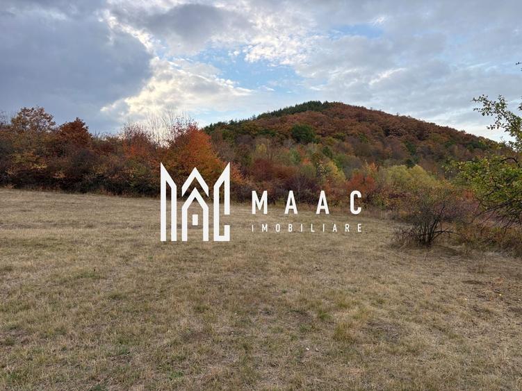Teren agricol extravilan de 5000 mp, în Poplaca