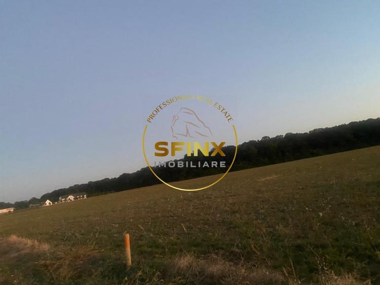 Teren Construcții intravilan de 10000 mp, în Ciolpani