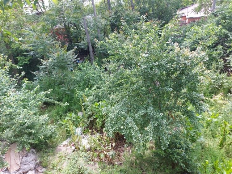 Casă individuală cu 4 camere cu Canalizare în Giulești Sârbi